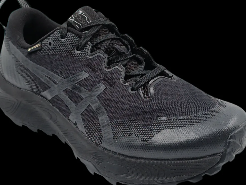 Asics Gel-Trabuco 12 GTX black/graphite grey