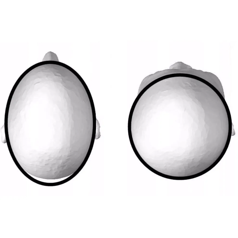 Cádomotus pads voor Alpha helmen