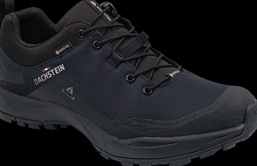 Dachstein Delta peak GTX black