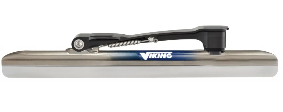 Viking Icon